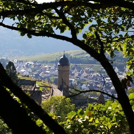 Burglay Zell Mosel 度假居 Merl
