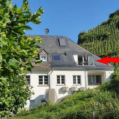 Burglay Zell Mosel 度假居