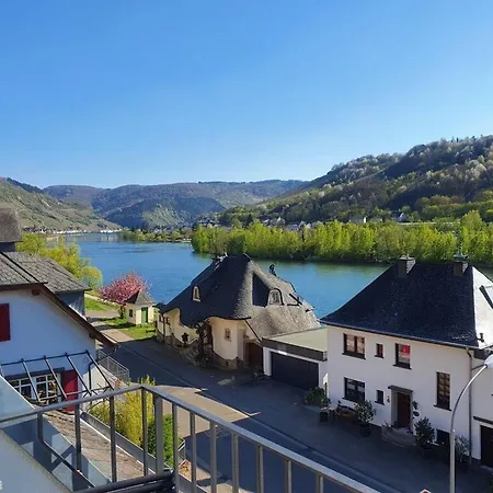 度假居 Burglay Zell Mosel *