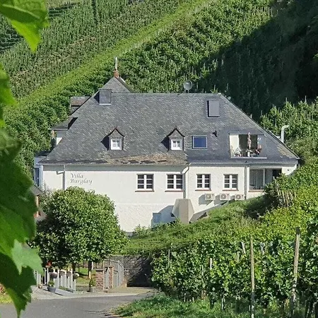 Burglay Zell Mosel 度假居 Merl